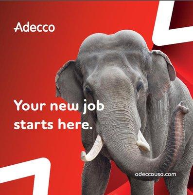 Apply online at www.adeccousa.com