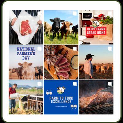 Cattle Ranch / Beef Instagram Feed. Content Planning. Content Production. Reels, Posts. Houston Digital Marketing & Social Media Management