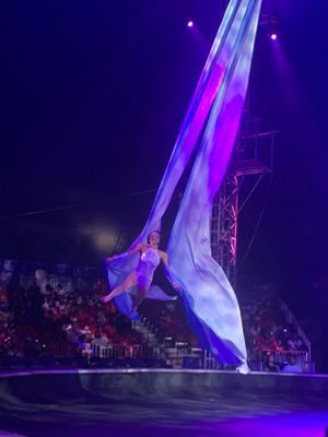 @UniverSoul Circus