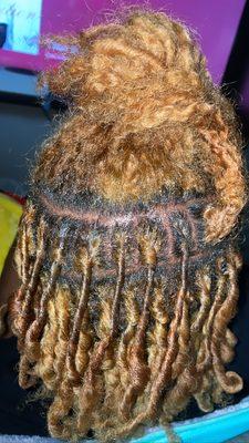 Starter locs