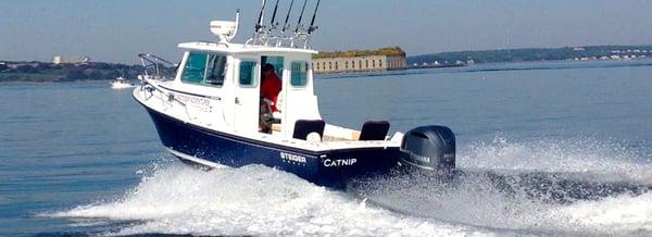 Cruising by Fort Gorges on the Catnip.