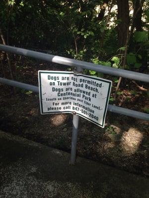 No dogs permitted here :(