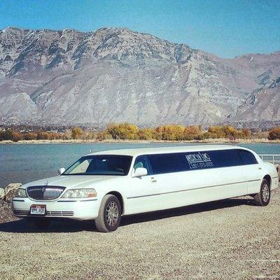 American Limosuine
 180 strech Disco Limo