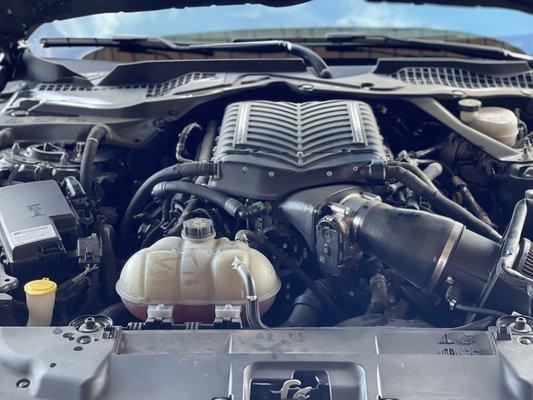 I also do engine bay cleaning as well