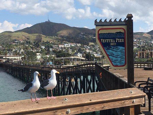 Ventura as seen from the Ventura Pier, California's longest wooden pedestrian pier...