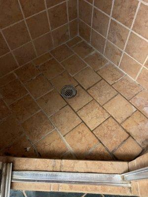 Filthy shower grout.