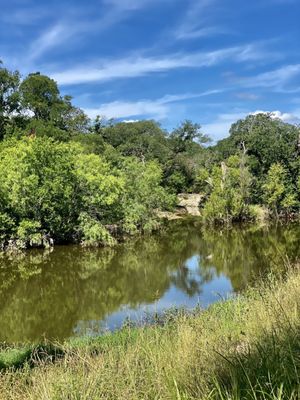 Culebra Creek