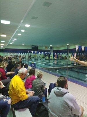 Iowa City Swim Club