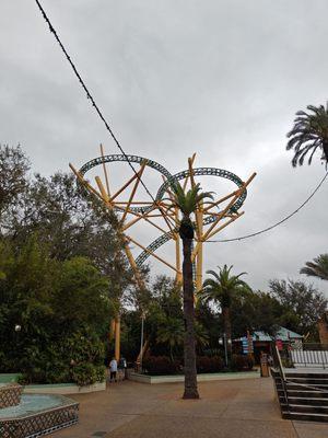 Cheetah Hunt