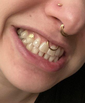 Stay Flossy Tooth Gems