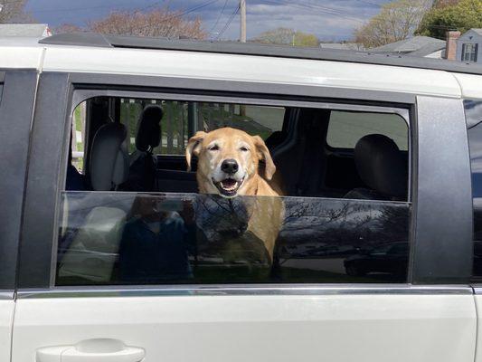 We are happy; dogs are happy. Thank you CC.