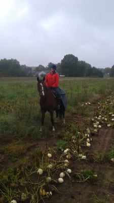 Relaxing ride through the beautiful fields abutting 65 acres