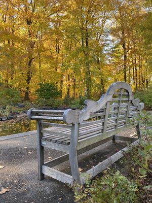 Many benches to sit and absorb nature surrounding you.