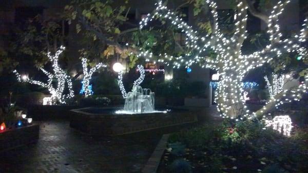 Holiday lights in the entry courtyard area.