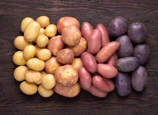 Variety's of Potatoes