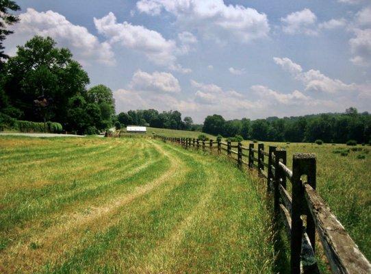 Fern Valley Farm