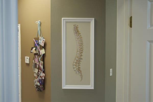 Spine painted on the wall