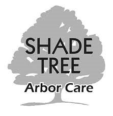 Shade Tree Arbor care, providing quality tree services.