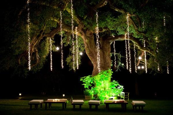 A magical wonderland in Texas.