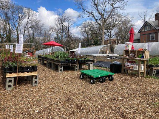 Germantown Kitchen Garden