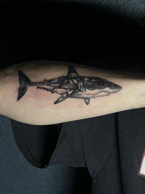 Tattoo of a shark