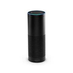 Echo featuring Alexa enabled voice real estate search, Help Me Buy My New Home