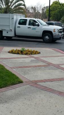 This company truck's stole my parking spot while I waited with my blinker signal lights on!!