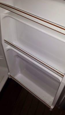 Mold in refrigerator