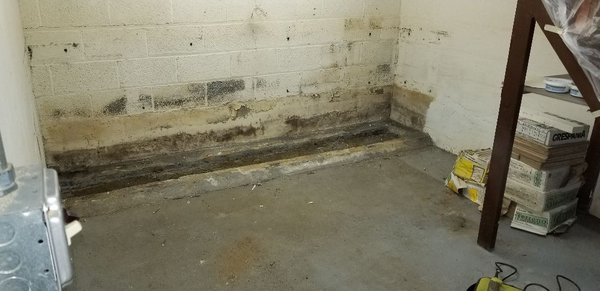 Wall liaks and mold