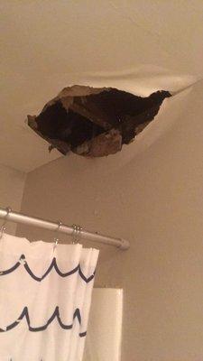 Hole in my ceiling because the shower above mine leaked so bad.