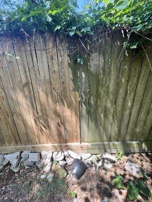 Fence Wash From Green to Clean