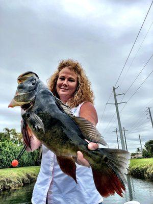 Monster peacock bass in January!!  What else could you ask for