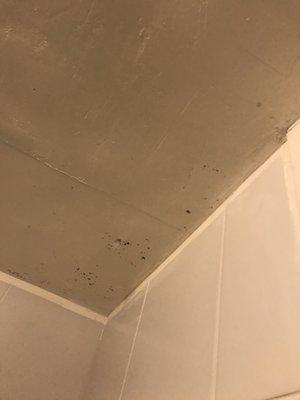 More mold on bathroom ceiling