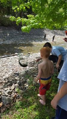 Can't keep these kids out of the creek :)