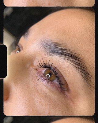 Lash lift & tint