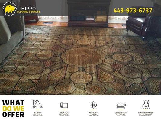 Area Rug Cleaning by Hippo Carpet Cleaning Ellicott City MD