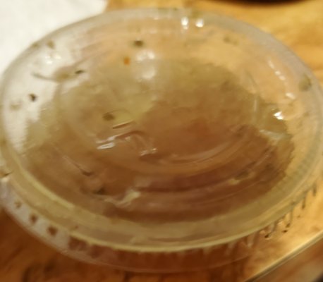 Gravy in container for Italian Beef that caused such unnecessary back and forth banter