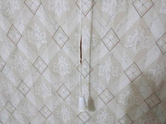 feces on emergency pull cord in bathroom