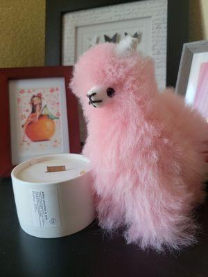 My purchases: A white chocolate and mint candle from Sandfire Candle Co. and an alpaca plush made with real Peruvian alpaca fur!