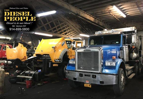 Keeping your diesel happy is only a phone call away. Make a service appt with us Today!!