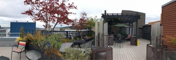 Roof top healing garden, with views of Lake Union and surrounding area.