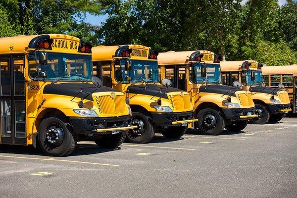 School bus sales