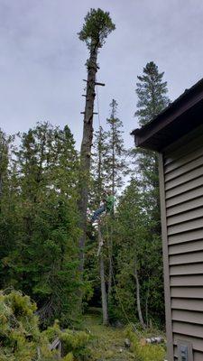 Huskey Brothers Professional Tree Removal