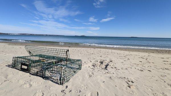 So many lobster traps washed ashore in the off season!