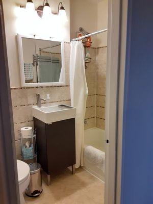 Bath before the flood with modern tile, stone and glass details.