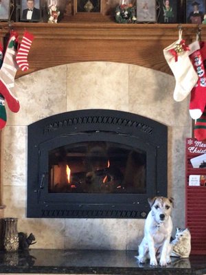 Fireplace all clean and ready for the winter