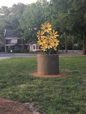 We built a bouquet of sunflowers in the green space in front our practice. You can't miss it from Monroe Road!