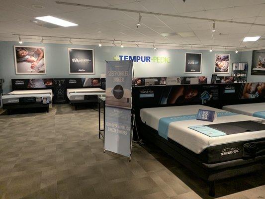 They have all the TempurPedic models