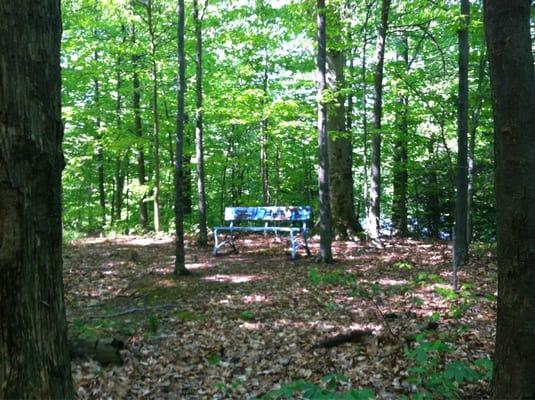 Wooded Bench