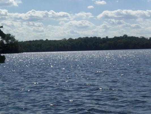 spectacular view of Ford Lake